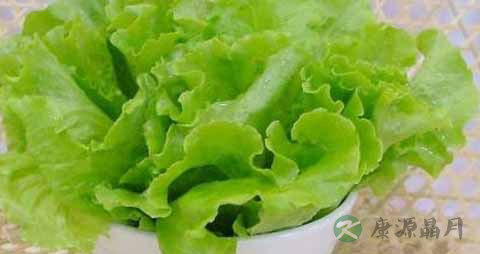 球生菜是不是卷心菜 球生菜是不是卷心菜
