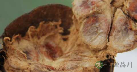 罗汉果泡水要去壳吗 罗汉果泡水要去壳吗