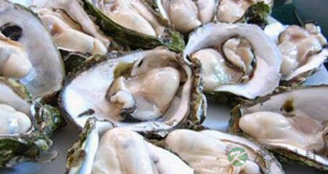 牡蛎怎么洗最干净