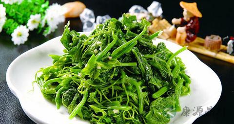 龙须菜的营养价值_吃龙须菜的好处 龙须菜的营养价值_吃龙须菜的好处