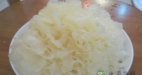 白木耳的营养价值_吃白木耳的好处 白木耳的营养价值_吃白木耳的好处