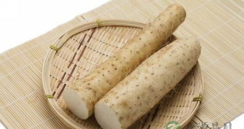 山药不能和什么一起吃 山药不能和什么一起吃