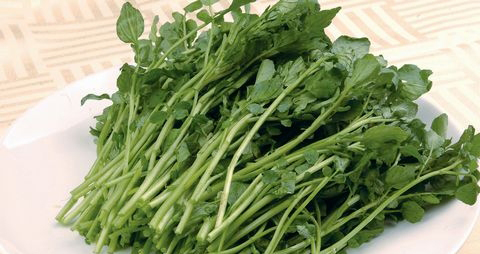 什么人不能吃西洋菜 什么人不能吃西洋菜