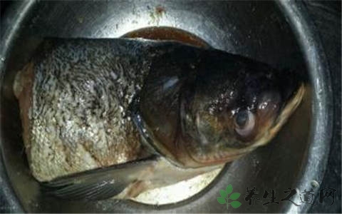 鲢鱼头的营养价值_吃鲢鱼头的好处 鲢鱼头的营养价值_吃鲢鱼头的好处