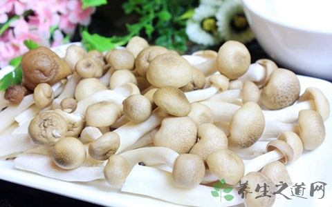 兰花菇的吃法_哪些人不能吃兰花菇 兰花菇的吃法_哪些人不能吃兰花菇