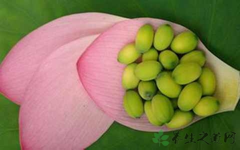 新鲜莲子一天能吃多少 新鲜莲子一天能吃多少