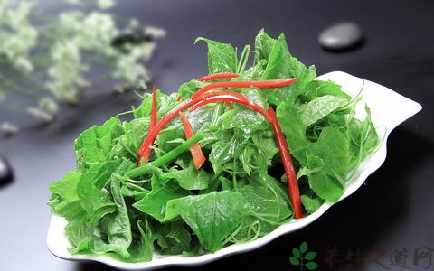 龙须菜的营养价值_吃龙须菜的好处 龙须菜的营养价值_吃龙须菜的好处