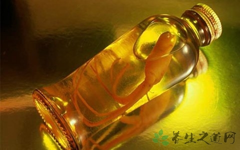 红参鹿茸泡酒配方 红参鹿茸泡酒配方