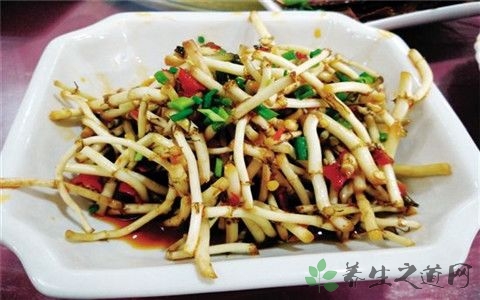 折耳根的吃法_哪些人不能吃折耳根 折耳根的吃法_哪些人不能吃折耳根