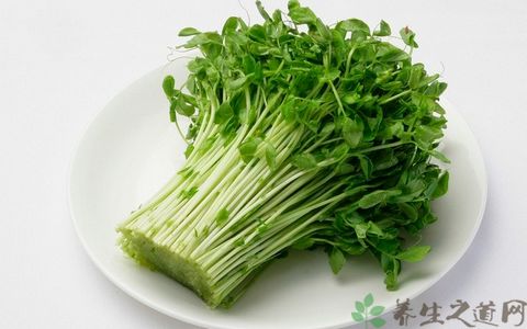 豌豆苗的吃法_哪些人不能吃豌豆苗 豌豆苗的吃法_哪些人不能吃豌豆苗