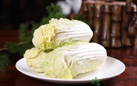 娃娃菜的营养价值_吃娃娃菜的好处 娃娃菜的营养价值_吃娃娃菜的好处