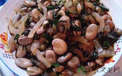 厚合菜不能与什么同食 厚合菜不能与什么同食