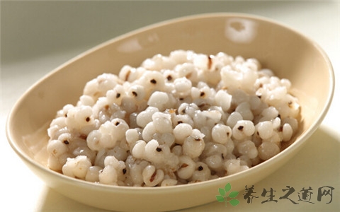 薏米煮之前要泡吗