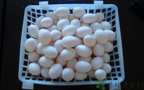 鸽子蛋的吃法_哪些人不能吃鸽子蛋 鸽子蛋的吃法_哪些人不能吃鸽子蛋