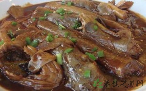 海鲶鱼的营养价值_吃海鲶鱼的好处