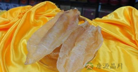 花胶汤用什么锅 花胶汤用什么锅