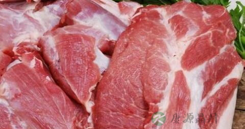 炖猪肉用凉水还是热水