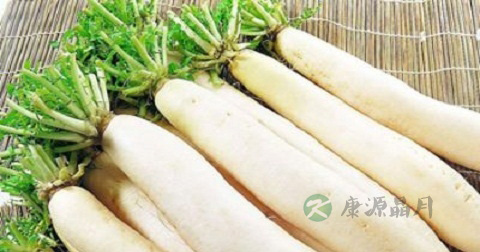 做南排杂烩放什么调料 做南排杂烩放什么调料