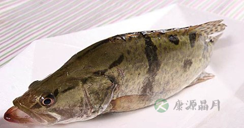 烤花揽桂鱼什么时候放调料 烤花揽桂鱼什么时候放调料
