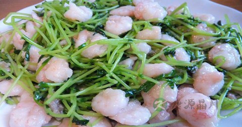 豆苗炒虾片什么时候放调料 豆苗炒虾片什么时候放调料