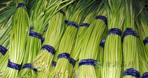 炒蒜薹需要剥皮吗 炒蒜薹需要剥皮吗