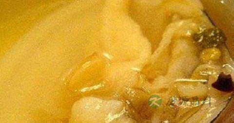 醉蚌什么时候放调料 醉蚌什么时候放调料