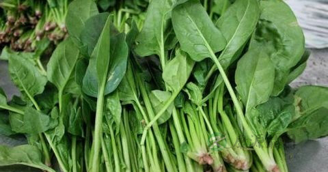 菠菜能炒肉丝吗 菠菜能炒肉丝吗