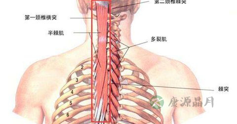 肋骨骨折