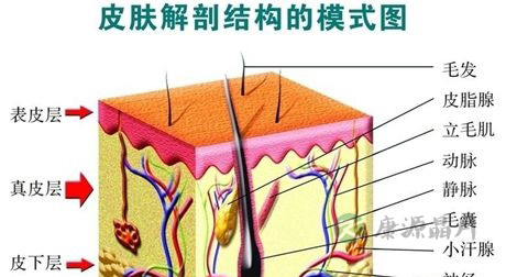 痘印 痘印