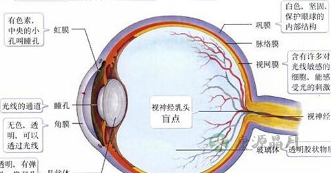 散光 散光