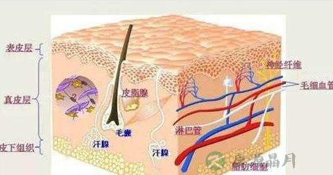 唇周边长痘