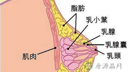 巨乳