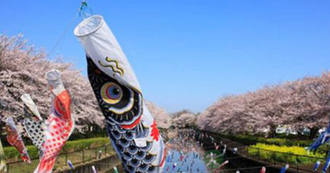 社节