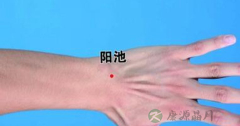 阳池穴