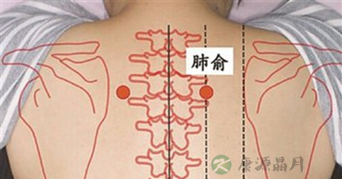 肺俞穴