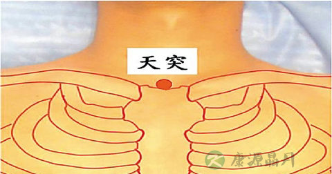 天突穴