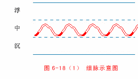 中医二十八脉分脉脉歌及全部脉象(含动态图解)