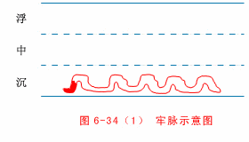 中医二十八脉分脉脉歌及全部脉象(含动态图解)