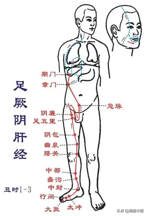 十二经络及原穴、络穴、输穴