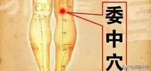 “十二针灸口诀”解析