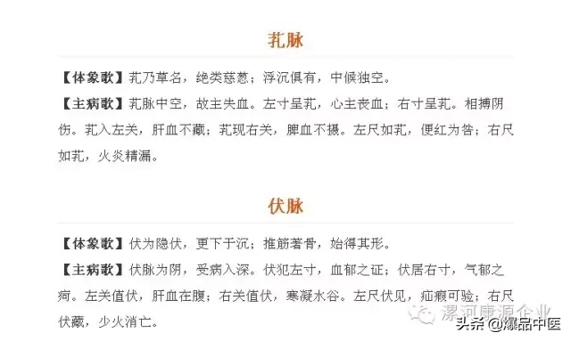 脉诊图画及脉歌，太珍贵了