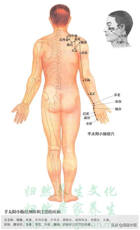 人体362个穴位详解 + 高清彩图 （内容较长，请耐心阅读）