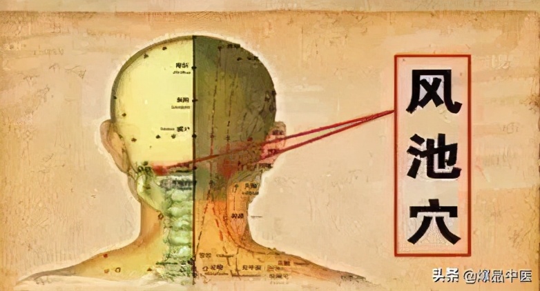 人体10大穴位能治病,按揉关元穴缓解脱发