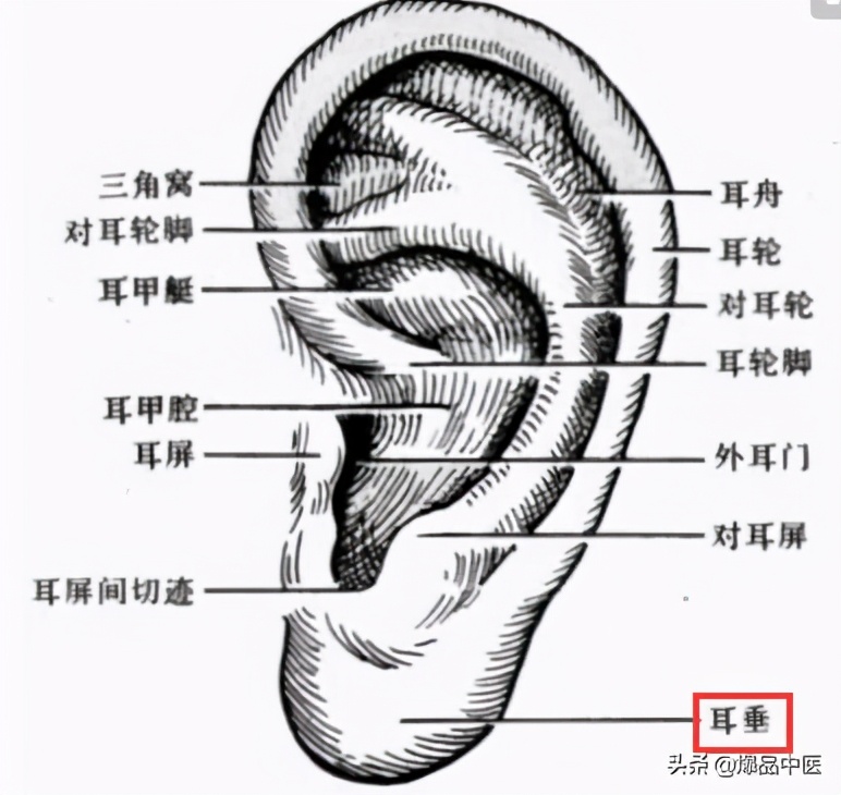 人体最神奇的一位地方,按一按,赶走各种病痛