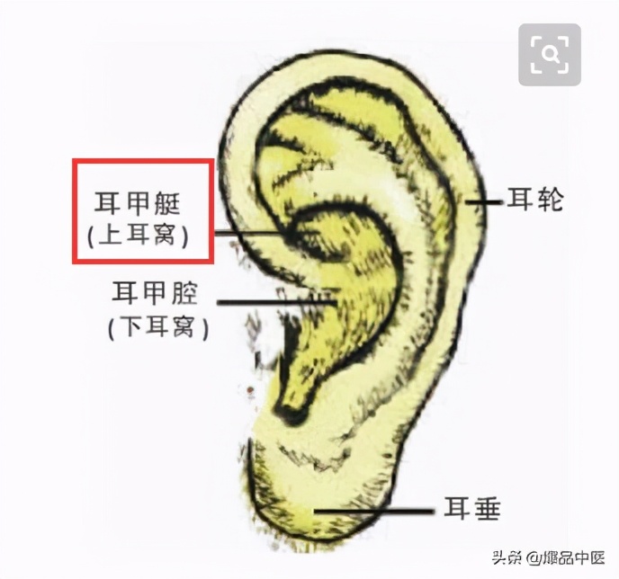人体最神奇的一位地方,按一按,赶走各种病痛