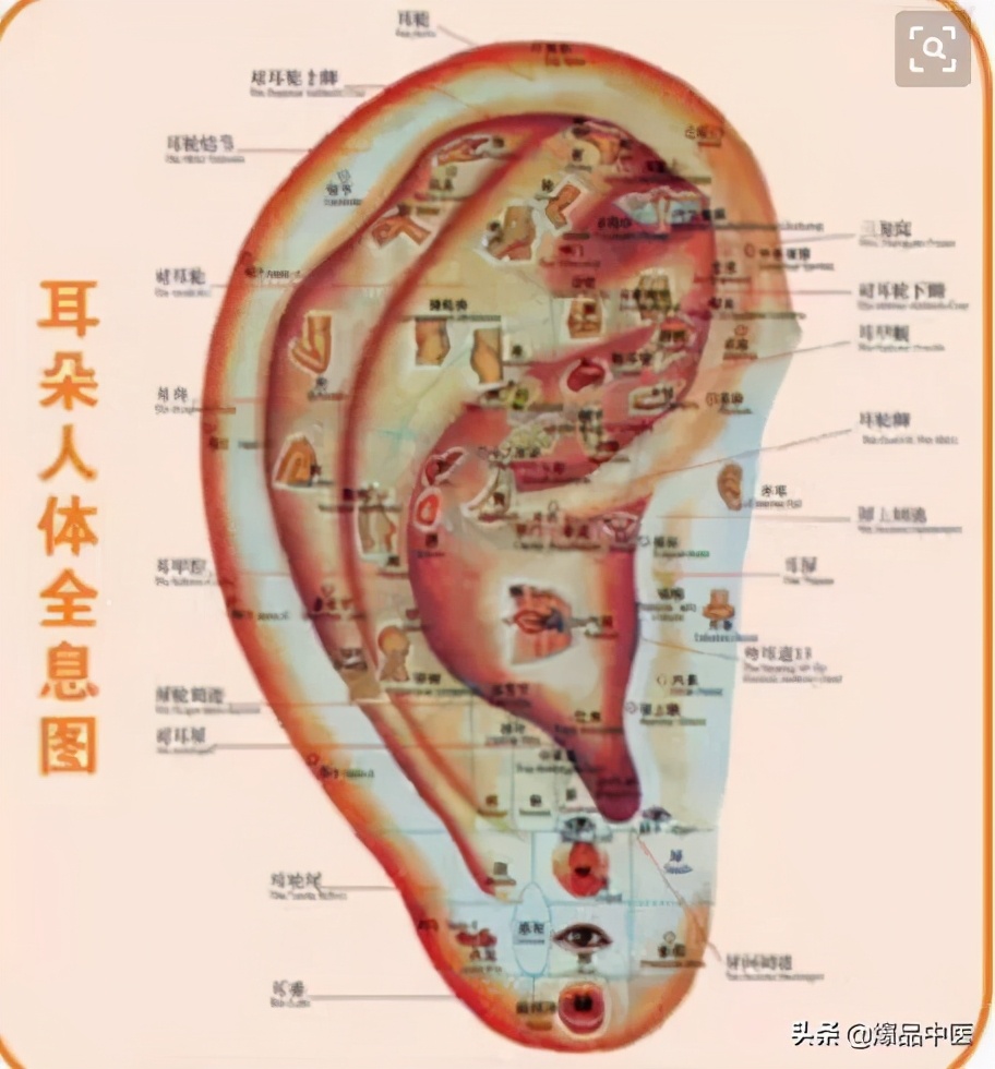 人体最神奇的一位地方,按一按,赶走各种病痛
