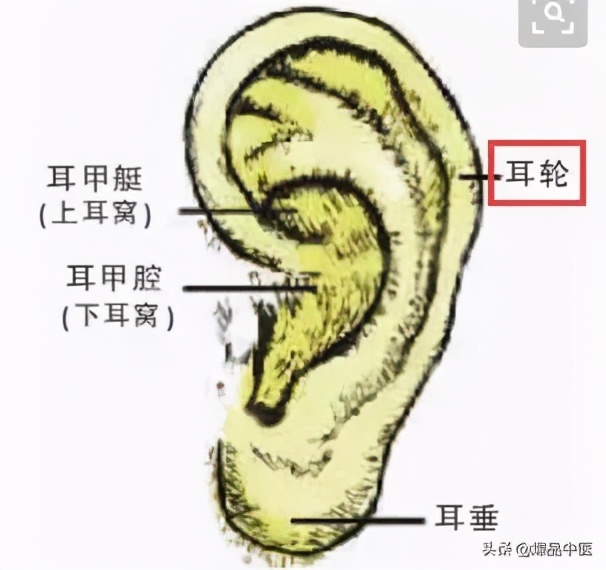 人体最神奇的一位地方,按一按,赶走各种病痛