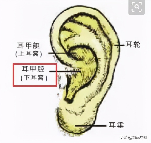 人体最神奇的一位地方,按一按,赶走各种病痛
