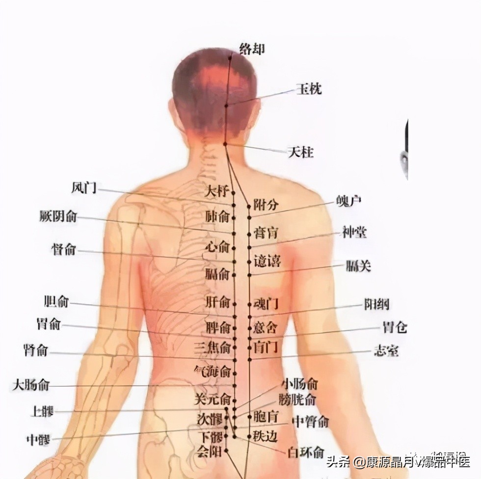 委中穴调多病,放血可治腰痛恶疮、顽癣