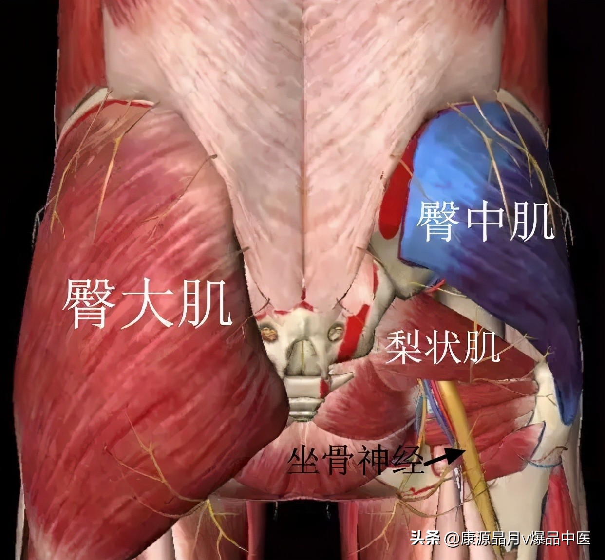 大腿疼痛的各种诊断